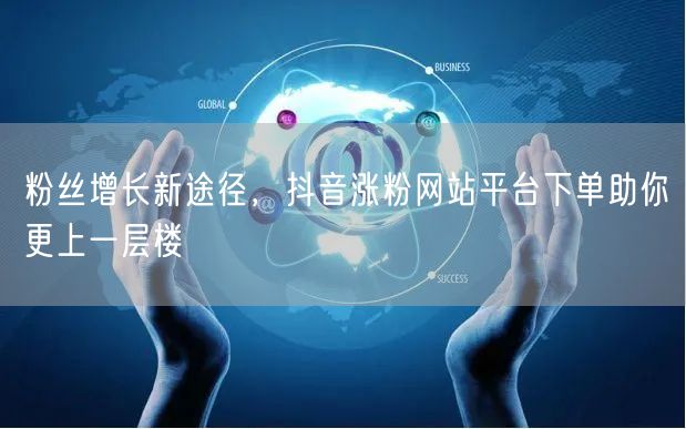 粉丝增长新途径，抖音涨粉网站平台下单助你更上一层楼