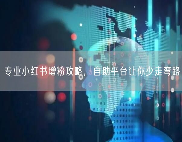 专业小红书增粉攻略，自助平台让你少走弯路