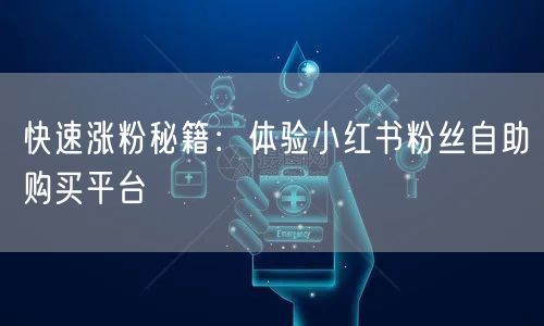快速涨粉秘籍：体验小红书粉丝自助购买平台
