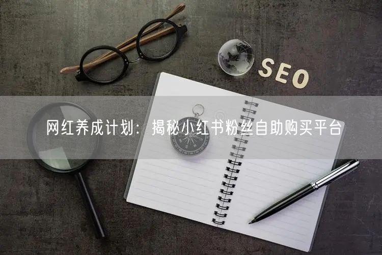 网红养成计划：揭秘小红书粉丝自助购买平台