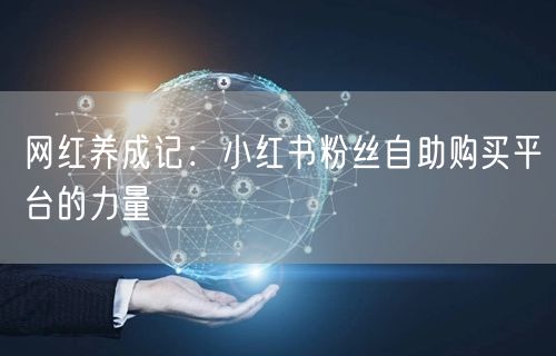 网红养成记：小红书粉丝自助购买平台的力量