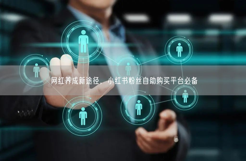 网红养成新途径，小红书粉丝自助购买平台必备
