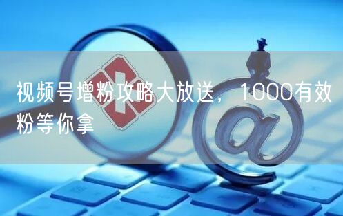 视频号增粉攻略大放送，1000有效粉等你拿