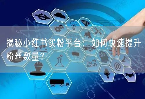 揭秘小红书买粉平台：如何快速提升粉丝数量？