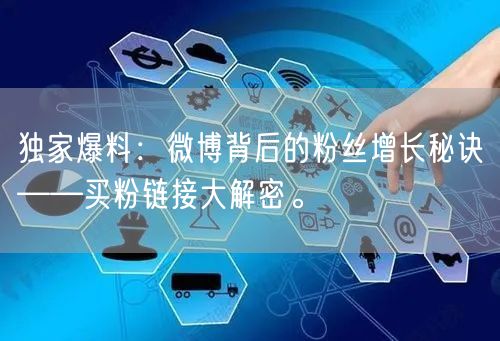 独家爆料：微博背后的粉丝增长秘诀——买粉链接大解密。