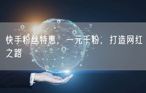 快手粉丝特惠，一元千粉，打造网红之路