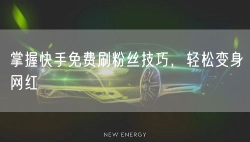 掌握快手免费刷粉丝技巧，轻松变身网红