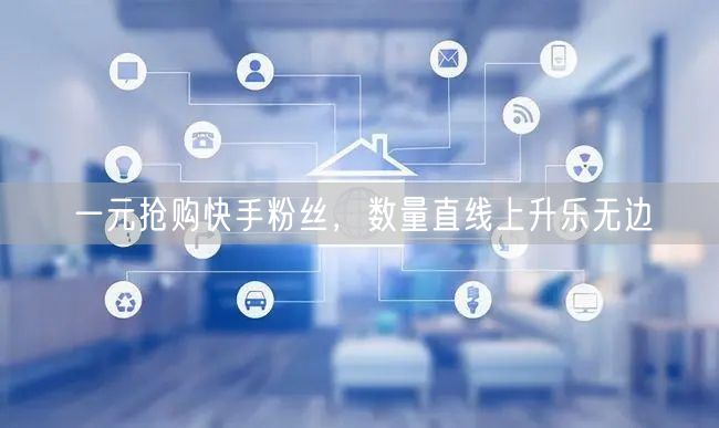 一元抢购快手粉丝，数量直线上升乐无边