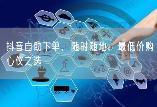 抖音自助下单，随时随地，最低价购心仪之选
