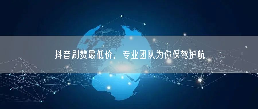 抖音刷赞最低价，专业团队为你保驾护航