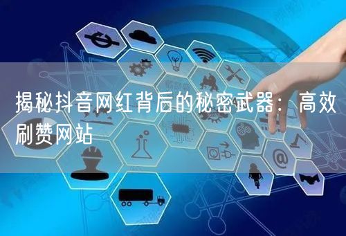 揭秘抖音网红背后的秘密武器：高效刷赞网站