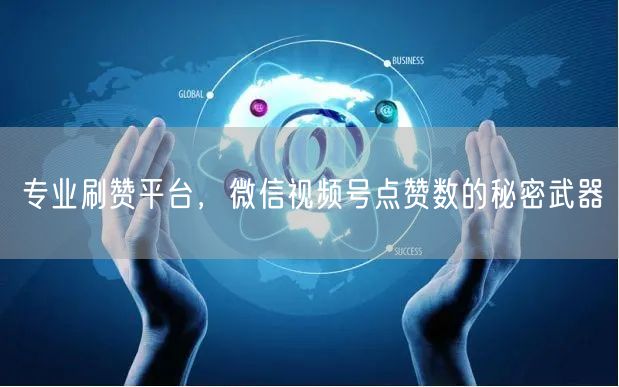 专业刷赞平台，微信视频号点赞数的秘密武器
