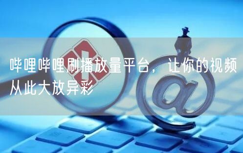 哔哩哔哩刷播放量平台，让你的视频从此大放异彩