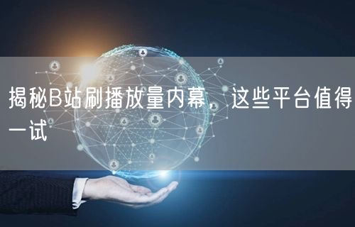 揭秘B站刷播放量内幕，这些平台值得一试