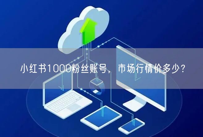 小红书1000粉丝账号，市场行情价多少？