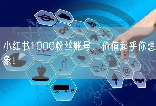 小红书1000粉丝账号，价值超乎你想象！