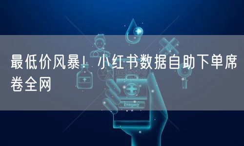 最低价风暴！小红书数据自助下单席卷全网