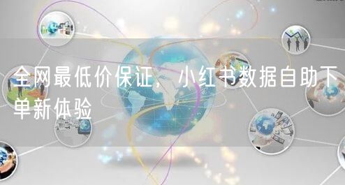 全网最低价保证，小红书数据自助下单新体验
