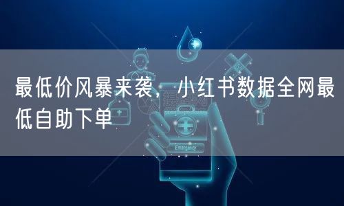 最低价风暴来袭，小红书数据全网最低自助下单