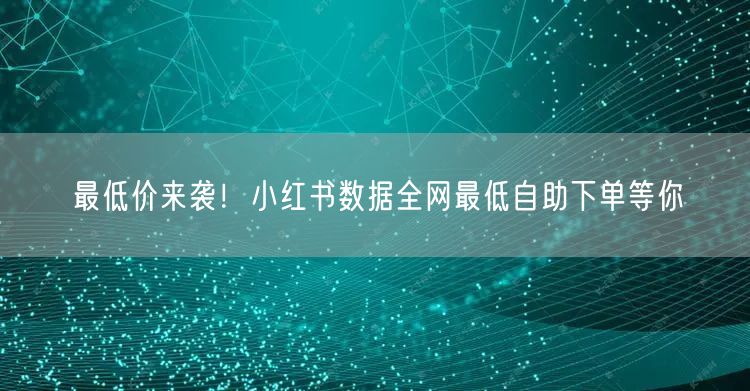 最低价来袭！小红书数据全网最低自助下单等你