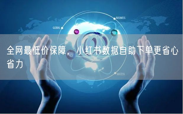 全网最低价保障，小红书数据自助下单更省心省力