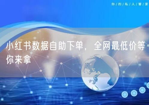 小红书数据自助下单，全网最低价等你来拿