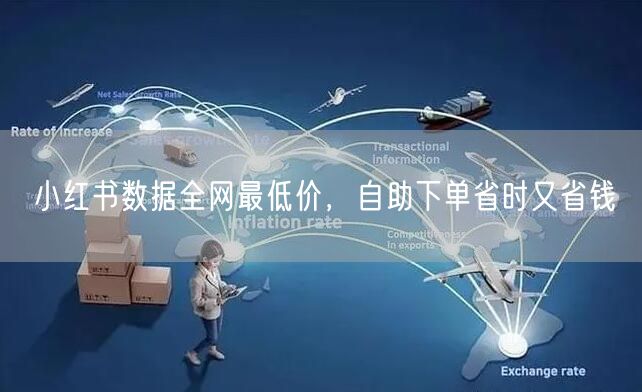 小红书数据全网最低价，自助下单省时又省钱