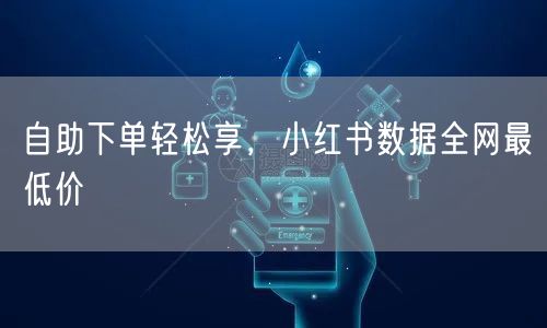 自助下单轻松享，小红书数据全网最低价