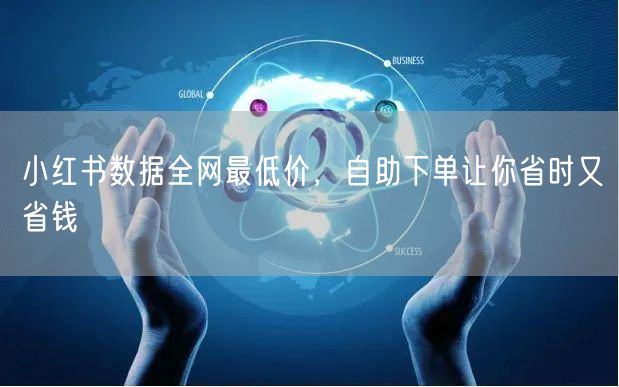 小红书数据全网最低价，自助下单让你省时又省钱