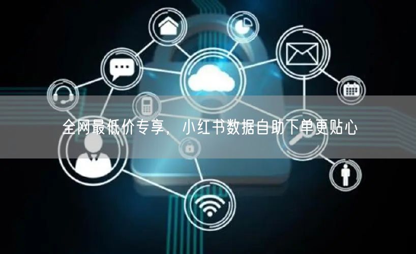 全网最低价专享，小红书数据自助下单更贴心