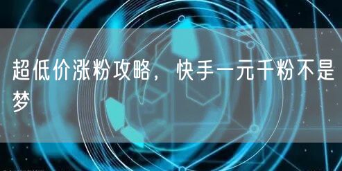 超低价涨粉攻略，快手一元千粉不是梦