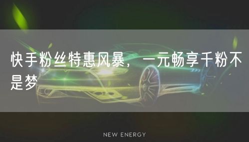 快手粉丝特惠风暴，一元畅享千粉不是梦