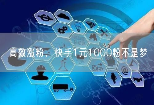 高效涨粉，快手1元1000粉不是梦