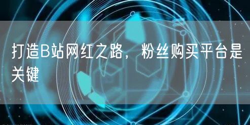 打造B站网红之路，粉丝购买平台是关键