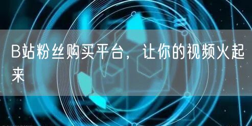 B站粉丝购买平台，让你的视频火起来