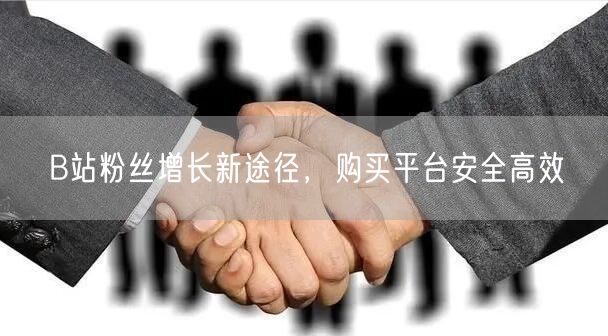 B站粉丝增长新途径，购买平台安全高效