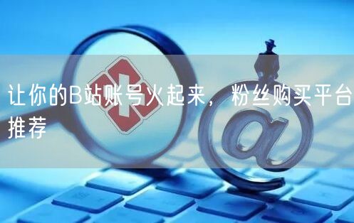 让你的B站账号火起来，粉丝购买平台推荐