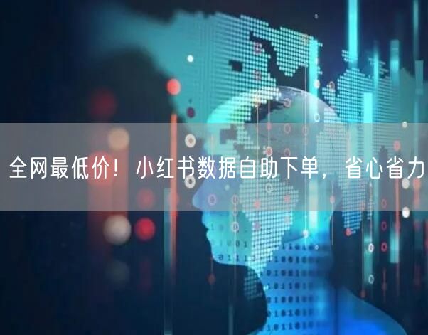 全网最低价！小红书数据自助下单，省心省力