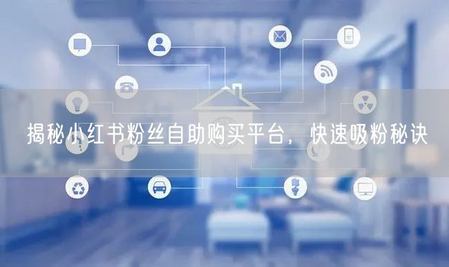 揭秘小红书粉丝自助购买平台，快速吸粉秘诀