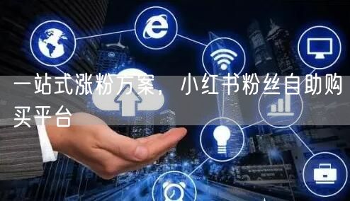 一站式涨粉方案，小红书粉丝自助购买平台