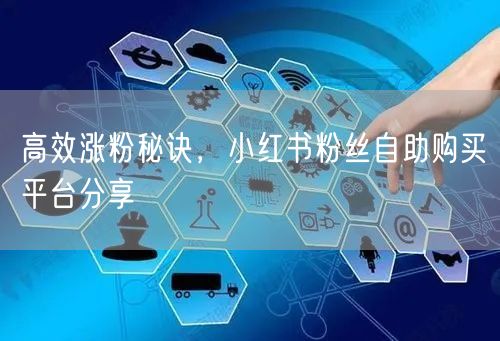 高效涨粉秘诀，小红书粉丝自助购买平台分享