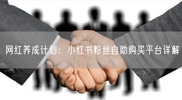 网红养成计划：小红书粉丝自助购买平台详解