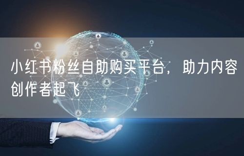 小红书粉丝自助购买平台，助力内容创作者起飞