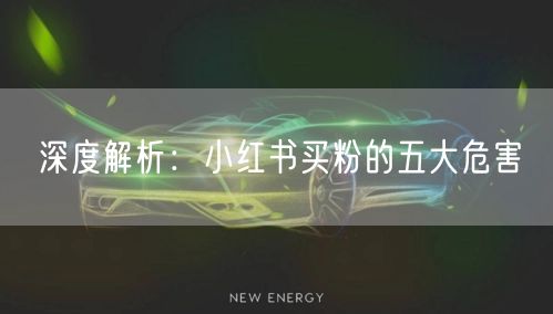 深度解析：小红书买粉的五大危害